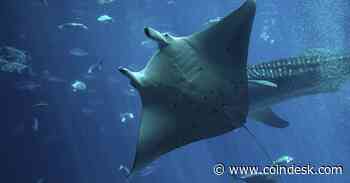 Manta's Layer-2 Blockchain Already Plans to Ditch OP Stack for Polygon