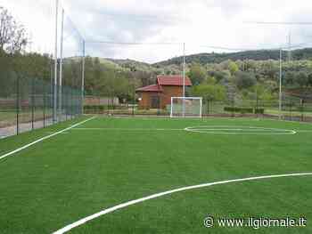 Campi in erba sintetica via dal 2030: la messa al bando della Commissione europea