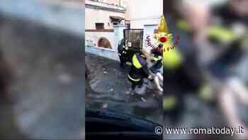 VIDEO | Piove e Ostia si allaga: i vigili del fuoco salvano persone bloccate in casa e in auto