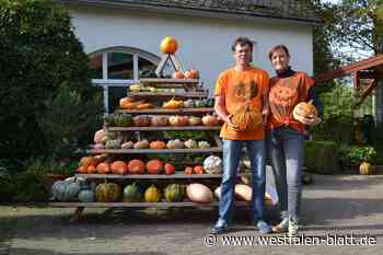 Vlotho: Eine Woche im Zeichen der Kürbisse