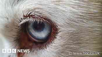 Your pictures on the theme of 'texture'