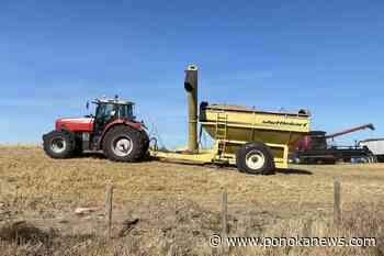 PHOTOS: Ponoka Community Growing Project marks a successful harvest