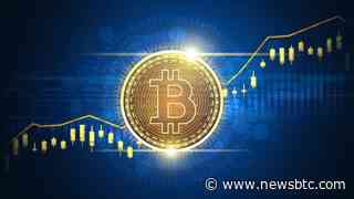 Bitcoin Whale Addresses See Unprecedented Jump, Is $30,000 Possible?