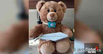 NAIT alumni team invents smart teddy bear to monitor children’s sleep