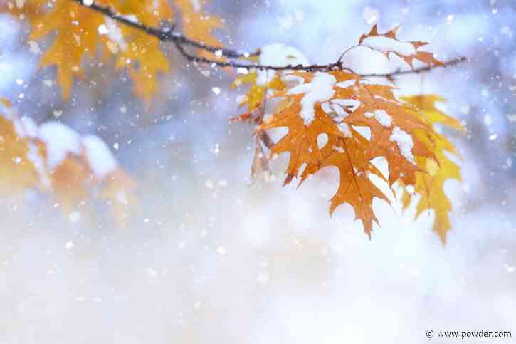 Utah Ski Area Shares Gorgeous Photos Of "Storm Snowliage"