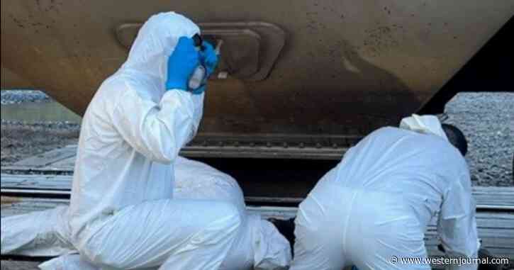 Tyson Plant Workers Discover Dead Body in Corn Shipment