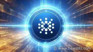 Cardano Whale Addresses Continue To Fall, What Does This Mean For ADA Price?