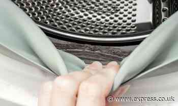 ‘One cup’ of 29p household staple ‘removes’ washing machine seal mould ‘without scrubbing’