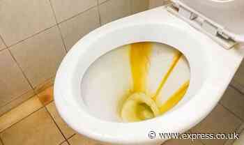 Natural item removes the ‘toughest and thickest’ toilet limescale stains for less than £2