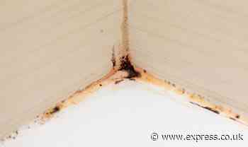 55p bathroom item removes mould from grout ‘overnight’ - it ‘rinses off’ the next morning