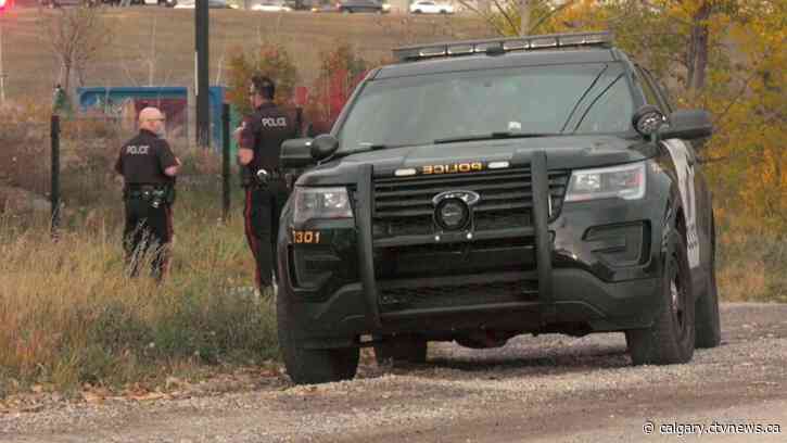 Search launched after woman seeks help near Calgary's Telus Spark then disappears