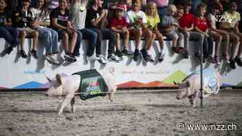 Die SVP drückt beim Freihandel gleichzeitig das Gaspedal und die Bremse