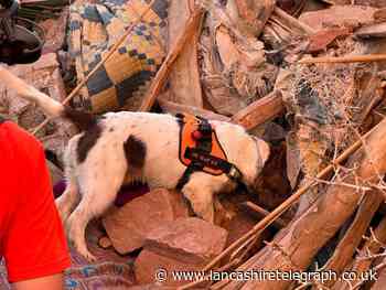 Lancashire Fire and Rescue dog, Davey, has won an award