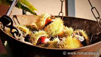 Sagra del Marrone a Segni