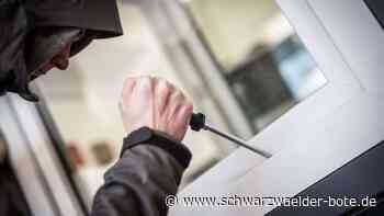 Schaden angerichtet: Einbrecher machen Beute in Altensteiger Schule