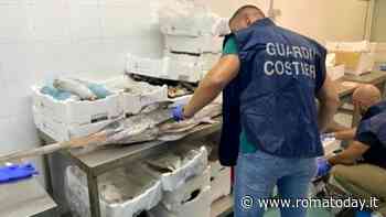 Pescheria e banchi di mercato con carenze sanitarie e di tracciabilità: sequestrata una tonnellata di pesce