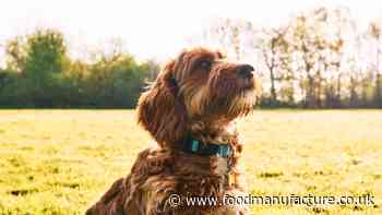 UK pet food manufacturer acquired by Chicago private equity firm