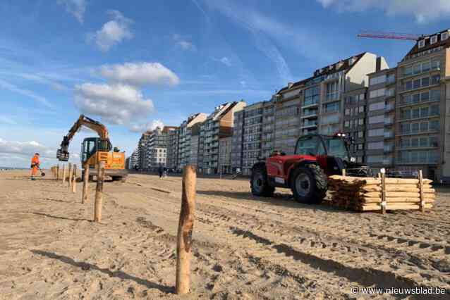 Proefproject met  nieuw duingebied van 5.400 vierkante meter moet kustlijn Knokke-Heist beter beschermen: “Voorstander van zachte maatregelen”