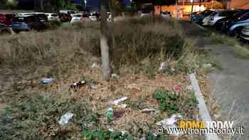 LETTORI - Parco Serenissima Rifiuti nel parco