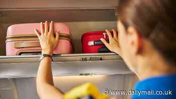 Flight attendant reveals she always packs this one NASA-approved item in her hand luggage - and astronauts have taken it on every Apollo mission