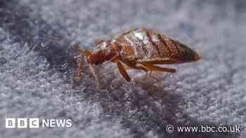 Hotels turn to tech as bedbug outbreaks rise