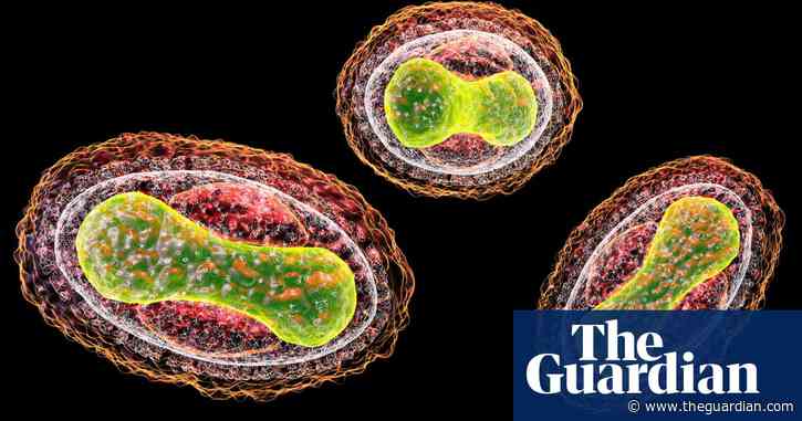 AI chatbots could help plan bioweapon attacks, report finds