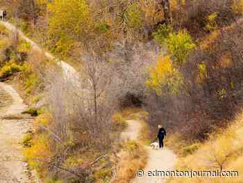 Edmonton weather: Cloudy, windy and rainy. At least it's not snow….