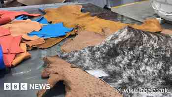 University of Northampton £5.5m leather institute faces closure