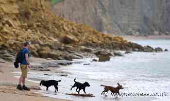 Pretty UK seaside towns at war with second homeowners now want to ban dogs