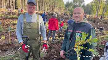 Rostocker und Urlauber pflanzen 3000 Eichen in der Rostocker Heide