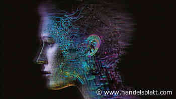 Vermögensverwaltung : Diese Robo-Advisors eignen sich für Einsteiger