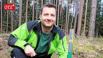 Wie der Klimawandel den Wald umbaut: Auftakt einer Vortragsreihe in Gernewitz