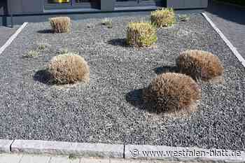 Dieses Fördergeld will in Werther kaum jemand haben