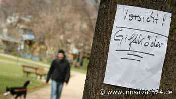 Giftköder in Altötting: Aufmerksamer Hundebesitzer findet mehrere „Würstchen“ am Wegrand