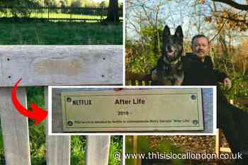 Netflix's After Life bench in Hampstead Heath vandalised