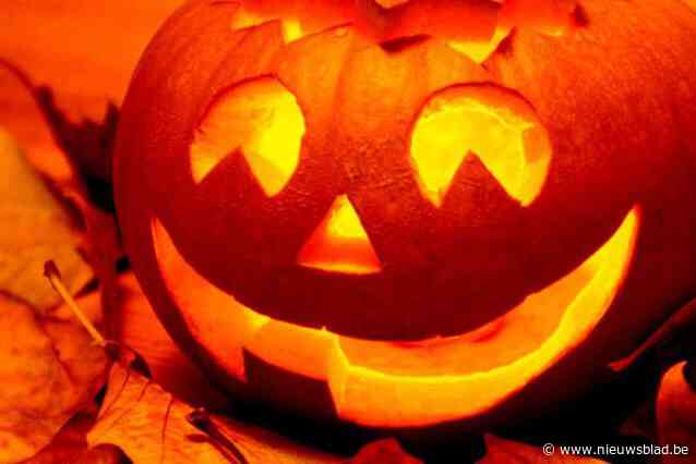 Sprookjes van gebroeders Grimm staan centraal tijdens Halloween bij Gezinsbond Dadizele