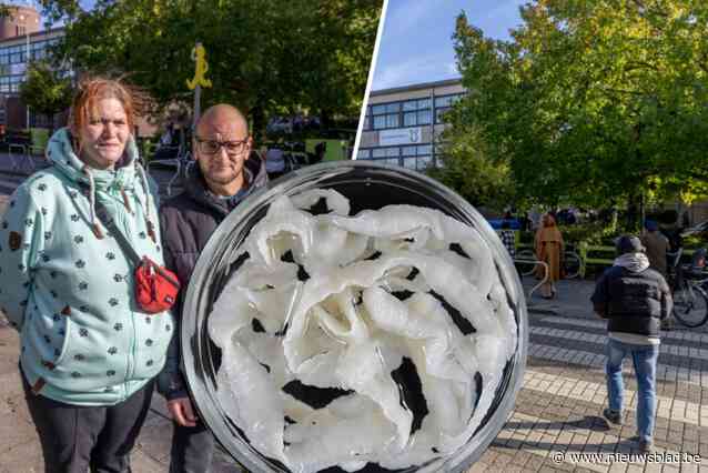“Eerst corona en nu die varkenslintworm, het mag stoppen”: bedrukte sfeer bij ouders na vierde geval in Lierse school
