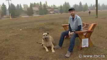 A Calgary man saw the need for benches at his local off-leash park. So he built 6