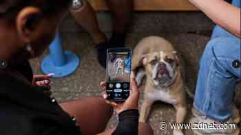 8 ways Google just upgraded accessibility in its apps and Pixel devices