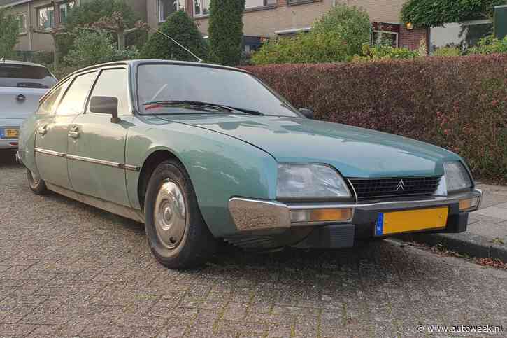 Citroën CX (1979) - In het Wild