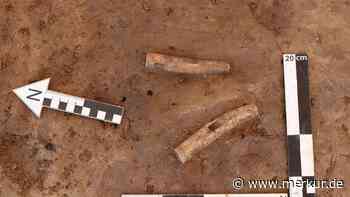 Bei Grabungen in geplantem Neubaugebiet: Archäologen machen „spektakulären Fund“