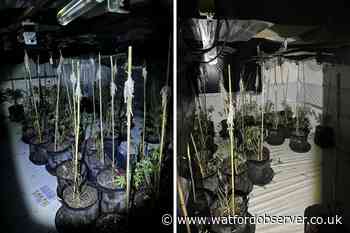 'Sophisticated' Moor Park drug factory raided yesterday