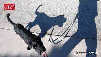 Meinung: Ab an die Leine