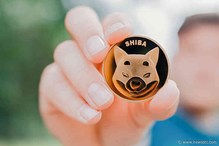 Shiba Inu Whale Moves $32.4 Million In SHIB, Large Sell Incoming?