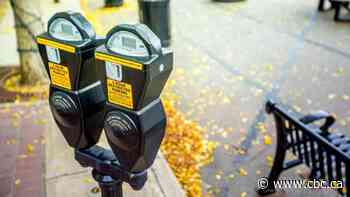 Need an old parking meter? Red Deer, Alta., is selling 1,100 of them