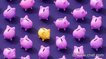 The Fed May Be Done with Rate Hikes, Experts Say. That Means High Savings Rates Won't Stick Around Much Longer     - CNET