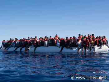 "Vi svelo il trucco dei migranti", Apostolico leggi qui e Greta: quindi, oggi...