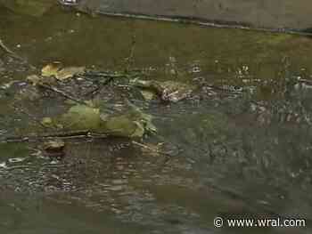 Carrboro residents voice opinions on proposed Bolin Creek Greenway expansion