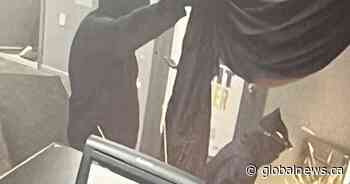 Robbers target Selkirk business in swift, methodical operation, RCMP investigate