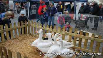 Gänsemarkt und verkaufsoffener Sonntag locken nach Helmstedt